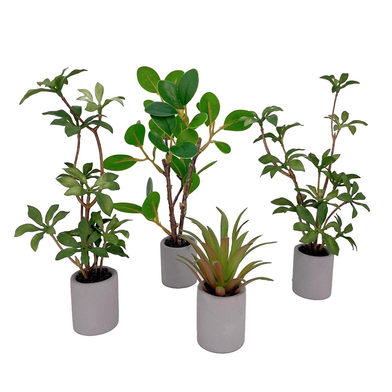 Bonsai Garden Zen - 1:6 кукольный домик, миниатюрное растение в