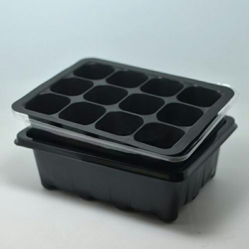 Набор для выращивания рассады: – обзор и цена Bonsai Garden Grow Kit