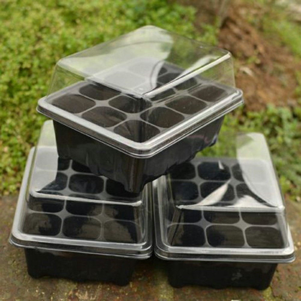 Набор для выращивания рассады: – обзор и цена Bonsai Garden Grow Kit