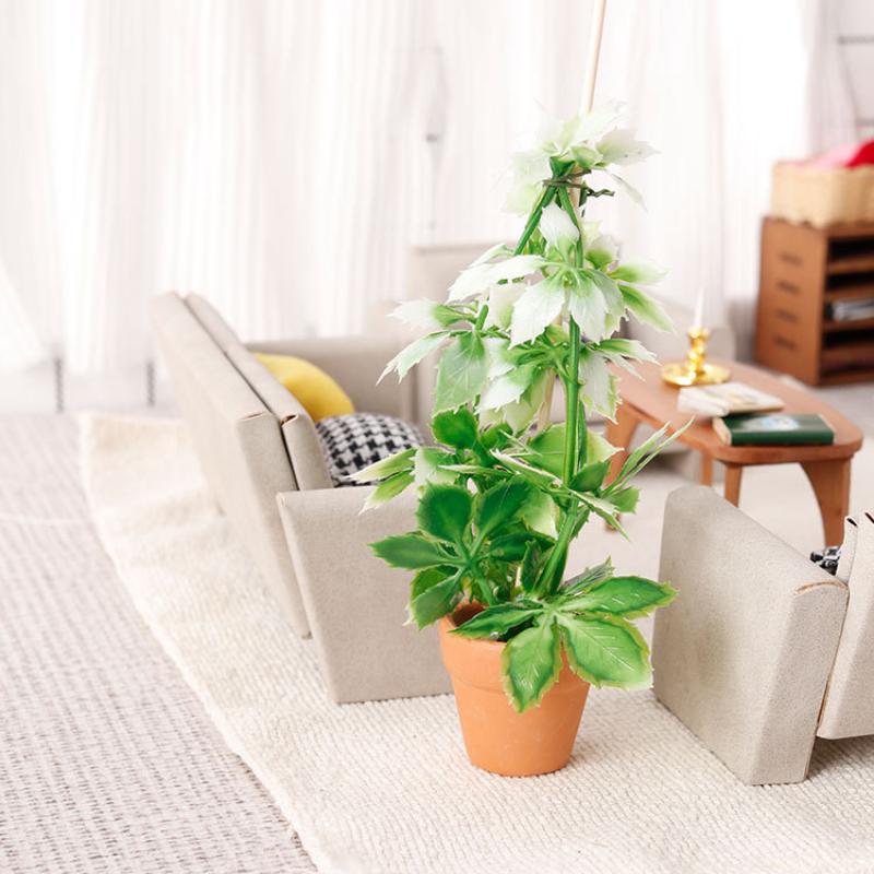 1/12 кукольный домик, имитация – обзор и цена Us Bonsai Garden