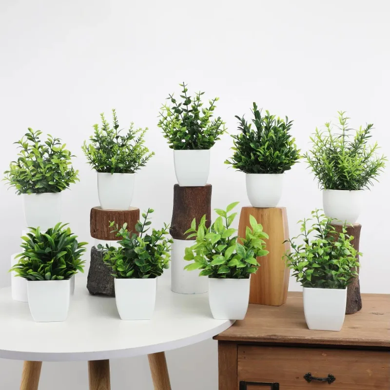 Оптовая продажа OEM/ODM искусс – обзор и цена Bonsai Garden Zen