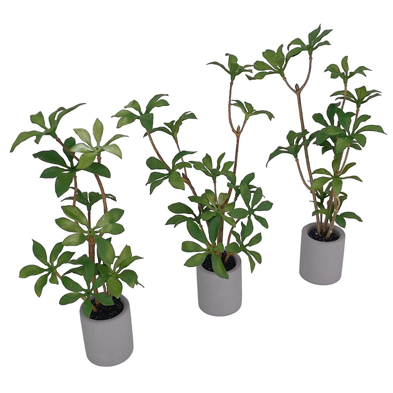 1:6 кукольный домик, миниатюрн – обзор и цена Bonsai Garden Zen