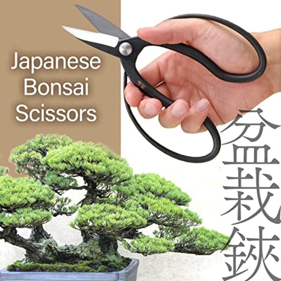 Японские ножницы для бонсай Su – обзор и цена Bonsai Garden Japan