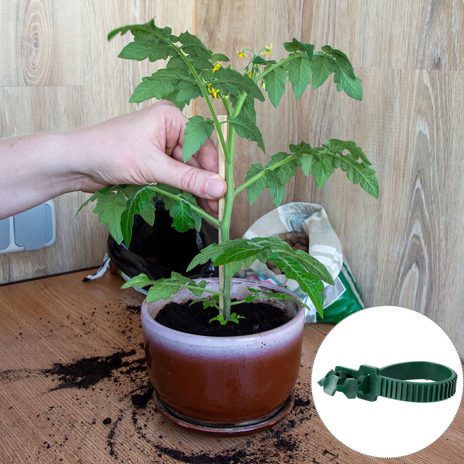 20 шт. фиксаторов для вьющихся – обзор и цена Us Bonsai Garden