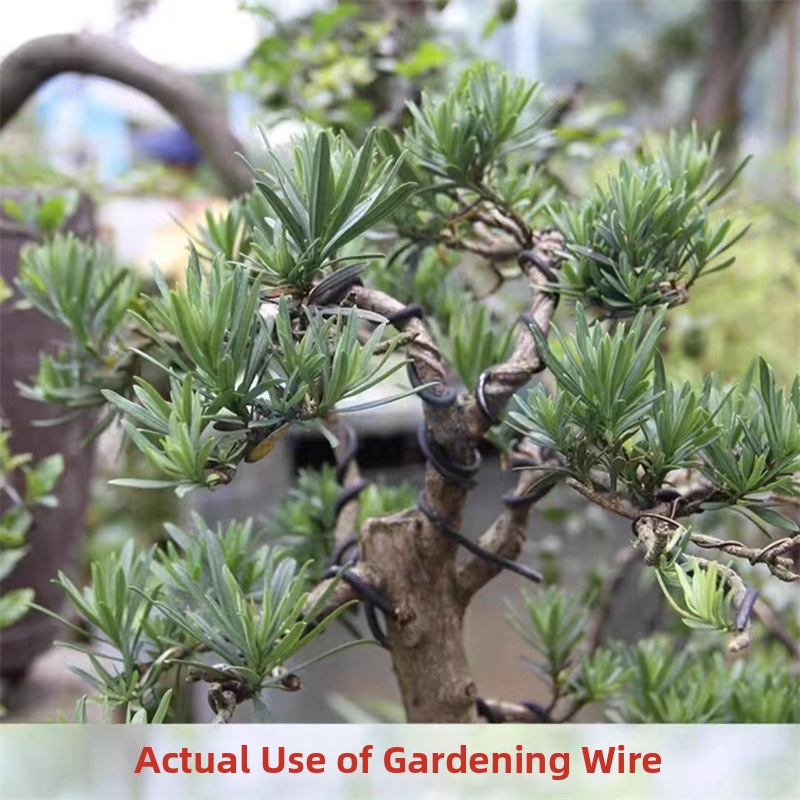 Алюминиевая проволока для бонс – обзор и цена Us Bonsai Garden