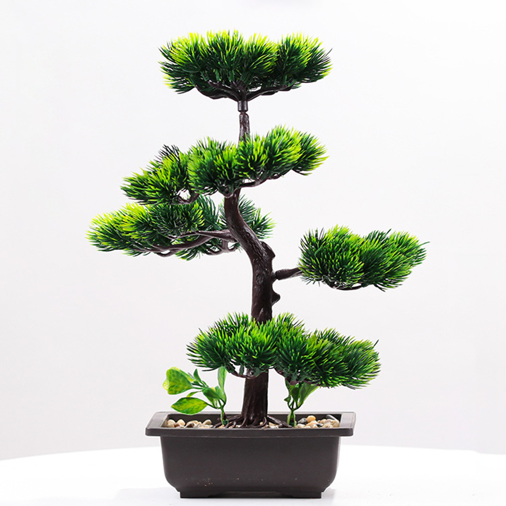 Искусственные растения, сосна, – обзор и цена Bonsai Garden Zen