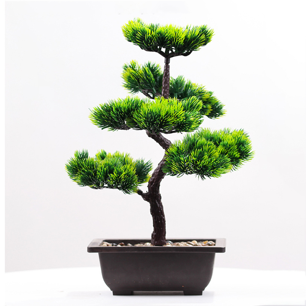 Искусственные растения, сосна, – обзор и цена Bonsai Garden Zen